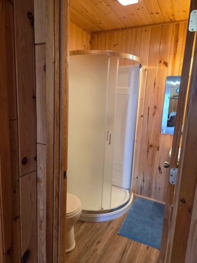 Rustic cabin bathroom with curved glass shower unit