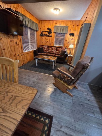 Rustic cabin living room with wood paneling and log furniture