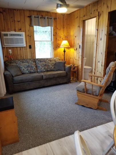 Cozy rustic cabin living room with wood paneled walls