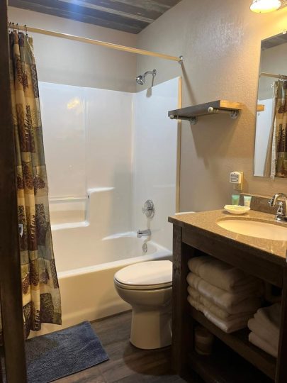 Rustic lodge-style bathroom with pinecone shower curtain