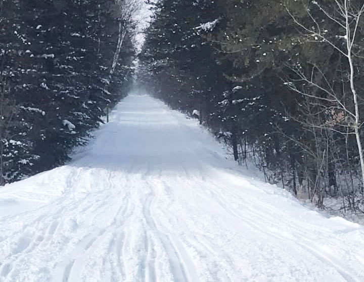 Snow-covered forest trail winding through winter trees